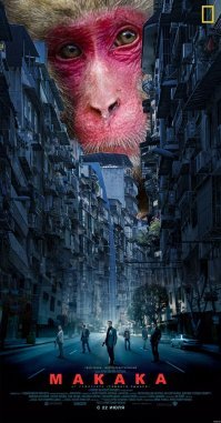 National Geographic подводит итоги конкурса на лучшего трэвел-фотографа