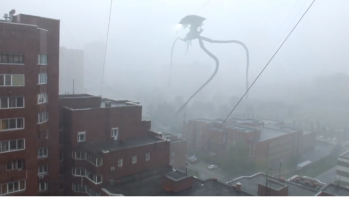 В Китае из-за тайфуна пошел дождь из осьминогов и других морских существ