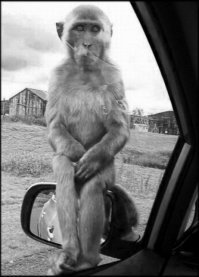 Я ждал красивых фото ВДНХ.