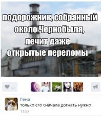 Припять - город, в котором остановилось время