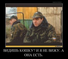 16 очаровательных фотографий, в реальность которых сложно поверить