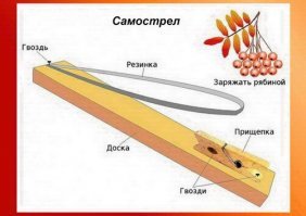 Довольно простая в изготовлении штука. Точность, правда, хромает. Заряжать необязательно рябиной, вишнёвые косточки отлично подойдут.