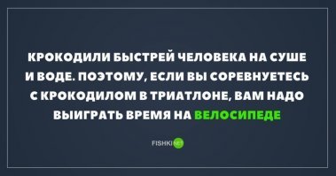 Три профессиональных борца проиграли в перетягивании каната молодому льву