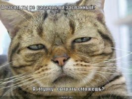 Слушай, а почему та на писал "в" украине?