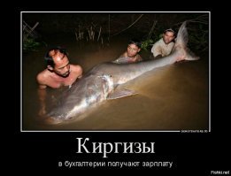 Ловля питона на живца