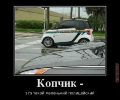 Бесполезные органы и части тела