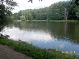 Пруд своими руками