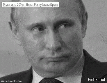 «Голосовал за Путина. Я один чувствую себя обманутым?»