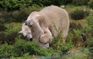 Мамаша заботливая такая