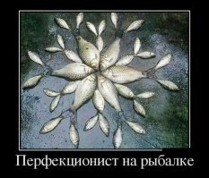 Пост для тех, кто любит, когда все идеально, даже надкусанная печенька 