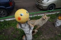 Есть, но такого не встречал. Многое взято не с площадок а палисадник около многоэтажки

Это в Европе