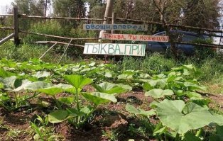 Надписи которые нас окружают