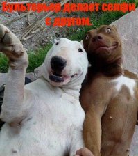 Судя по реакции друга, дружбой он не очень доволен.  :)