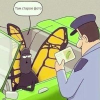 Гигантские озабоченные мотыльки заполонили Британию