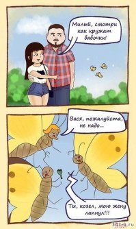 Гигантские озабоченные мотыльки заполонили Британию