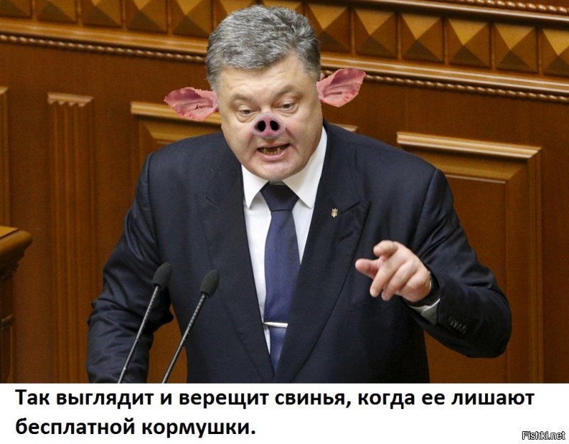"Порошенко пояснил масштаб угрозы потери Украиной $3 млрд от введения в строй  Северного потока-2 :  это та сумма, которая сегодня тратится на всю оборону Украины .  Вам понятно для чего он строится? Не для того, чтобы экономическими факторами провести диверсификацию. А для того, чтобы Украину оставить без денег на финансирование нашей обороны ,   утверждает глава государства."

Тупость хохлов и Поросёнка соперничает с их же наглостью. Петюня напрямую заявляет, что Россия должна спонсировать хохлячью армию... Феерический долпоёп и <span style='color:gray'>[мат]</span> морда.