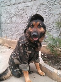 В прошлом году утонуть не дол когда в воде ногу повело...