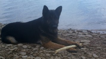 В прошлом году утонуть не дол когда в воде ногу повело...