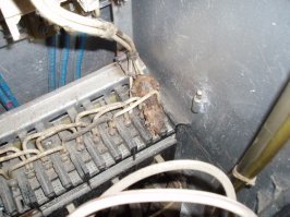 примерно так выглядит мышь в элеткрощитовой