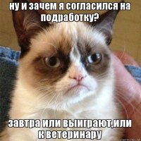 Опять угадает? Кот Ахилл предсказал, чем закончится футбольный поединок России с Египтом