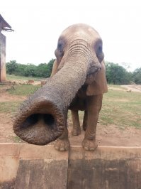 19 фотографий, которые взорвут ваш мозг!