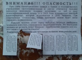Двое ежей были спасены от похмелья в Германии