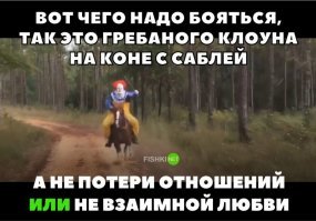 Парень решил подружиться со слепым котом, который всех боялся