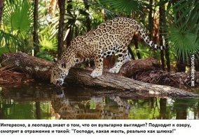 обидно