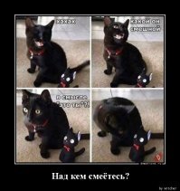 Кошачье рукоделие: из вычесанной шерсти кота сделали его мини-версию