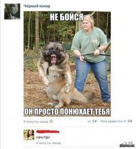 Неадекватная женщина решила погулять со своей собакой без намордника возле детской площадки