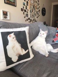 Фотоподборка за 19.06.2018