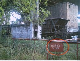 Моё фото. Из фотошопа только кружочек.