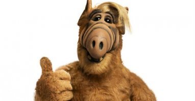 Альф одобряет!