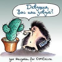 Двое ежей были спасены от похмелья в Германии