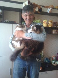 а скольлко из этих можно сделать???:)