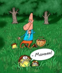 грибов вам в ленту