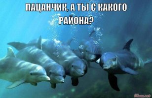 Фото, которые не нуждаются в комментариях