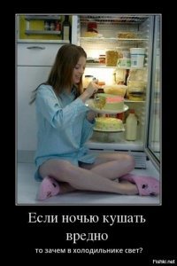 Демотиваторы об ожирении