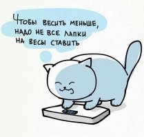 Демотиваторы об ожирении