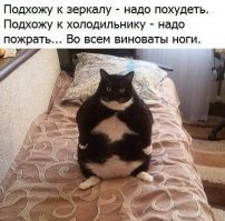 Демотиваторы об ожирении