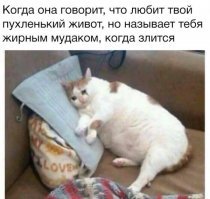 Демотиваторы об ожирении