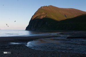 Остров Беренга природой и фьордами похож на Исландию.