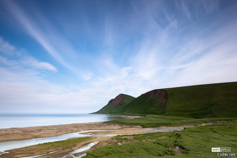 Остров Беренга природой и фьордами похож на Исландию.