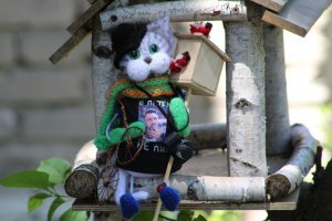 правда из обычной шерсти)