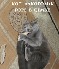 Коты и кошачья мята: вы еще не знаете, что такое кайф!