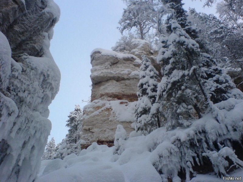 Я человек северный. Люблю нашу природу.
