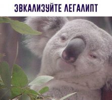 Пля, опять хорошо там, где нас нет...