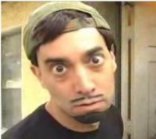 Реакция хаски на исчезновение хозяйки