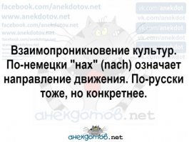 Российский болельщик на глазах полиции разбил в метро стеклянный плафон