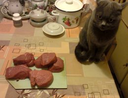 Моя красотка. Сила воли и аццкое терпение: :)